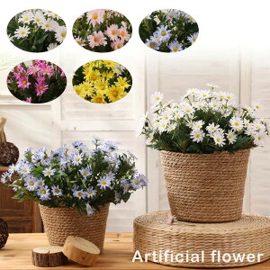 ̓ i v[gސEj ̓   d jd j v[g   vU[uht[ zCgf[ 20 30 40  av[g jd Mtg  a