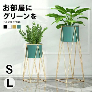 t[X^h  v^[X^h S[h ԑ  ACA v^[ X^h X ϗtA  |bg Jo[ t[ bN RpNg  Aؔ u   