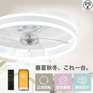 yV1ʁyCOUPON11,880~ESALEz V[Ot@Cg DC[^[ LEDV[OCg V[Ot@ F V[Ot@ É 6iK k 6-12Ή Rt APP