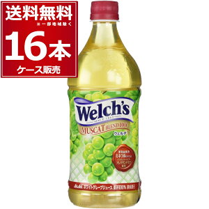 �A�T�q Welch's �E�F���` �}�X�J�b�g�u�����h100 800ml×16�{(2�P�[�X)�y�����������ꕔ�n��͏����z