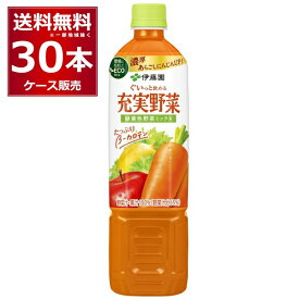 野菜ジュース 伊藤園 充実野菜 緑黄色 野菜ミックス ペット 740ml×30本(2ケース) 野菜ジュース【送料無料※一部地域は除く】
