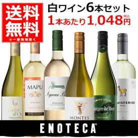 白ワイン セット 送料無料 飲み比べ エノテカ セレクト 名門ワイナリーが造る 白ワイン 6本セット 750ml×6本(1ケース) フランス スペイン チリ 母の日 父の日 【送料無料※一部地域は除く】