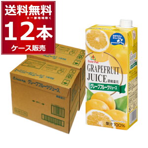 S[hpbN O[vt[cW[X 100% 1L pbN 1000ml×12{(2P[X)yꕔn͏z