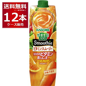 JS ؐ100 Smoothie r^~X[W[ 1000ml×12{(2P[X)yꕔn͏z