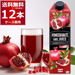 ܖ 2025N1210 y󂠂zyAEgbgzZkҌ UNW[X 1L×12{(1P[X) ʏ`100 |tFm[ JE R_p ނ  ў 1000ml pbNy