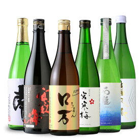 日本酒 純米吟醸 家飲みセット【日本酒 720ml 6本】【飲み比べ ちえびじん 石鎚 南 富久長 ロ万 宮寒梅】【送料無料】【北海道・沖縄は送料950円】