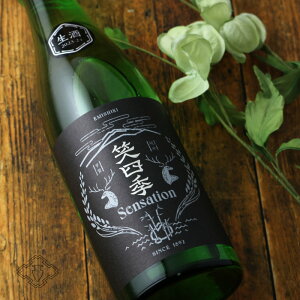 ΎlG ZZ[V x 肨肪 y{/ΎlG/݂zyv①/N[ցz