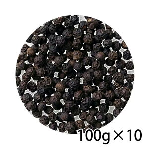 SB GXr[ ZNg ubNybp[ z[  100g 10 1P[X  Hi  kC ͑1000~ N[ւ800~Z