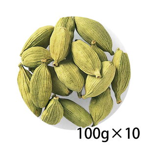 SB GXr[ ZNg J_ z[  100g 10 1P[X  Hi  kC ͑1000~Z N[ւ800~Z