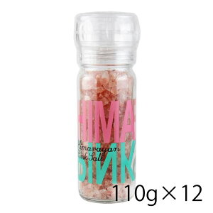 XpCXAbv q}sN\g ~t 110g 12 1P[X  Hi  kC ͑1000~Z N[ւ800~Z