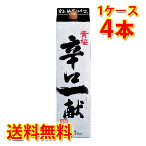  hꌣ pbN 3000ml 3L 4{ 1P[X  kC ͑1000~ s s ws