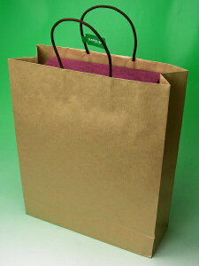 zMtg 2{ p 񂰎 Ntgy[p[obO G503