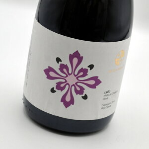 ����[2020]�t�@�r�I �E�f�E �{�[���� �A�E���[���C��LuluFabio de Beaumont�y�C�^���A�E�J���p�[�j���B�z[���R�h]