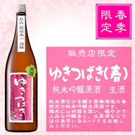 ゆきつばき　春　純米吟醸原酒　生酒1.8L【数量限定】【季節限定】【日本酒】【純米吟醸】【山田錦】【雪…