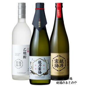 GBy݂ Mtgz720ml×3{ zT~ Ɉݔ׃Zbgw / Ki/Ē5NÎ 720ml3{MtgBOXx { Ē  җj  Mtg ō v[g 