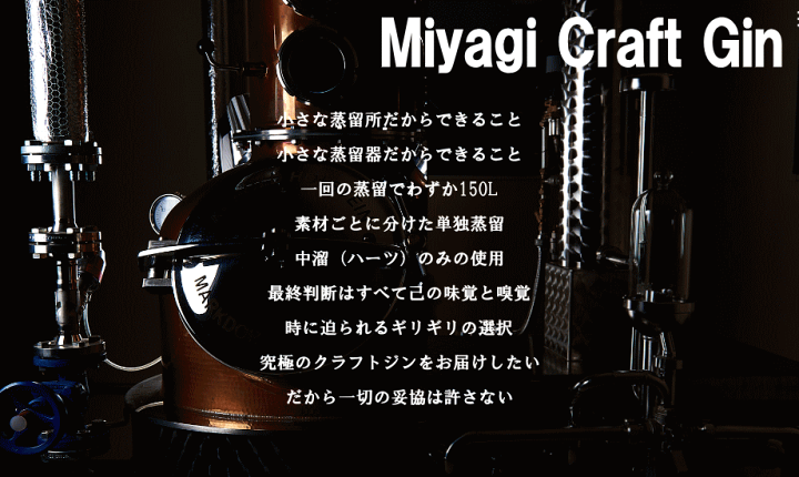 ハウルの動く城 スタイリッシュブローボトル カルシファー PTY5