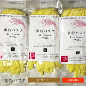 愛知県れんげちゃん米使用 送料無料 米粉パスタ 10食セット 米粉 麺 国産 小麦卵アレルギー アトピー 食塩不使用 グルテンフリー コシヒカリ