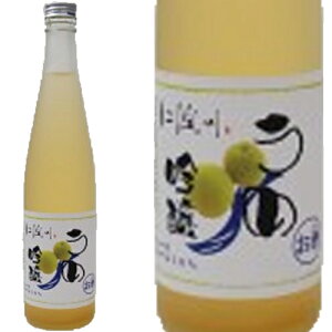 ߋ 500mlaHⒿA{̖oƑQ v͂nEL[Bҗj╃̓AJXjAp[eB[ւ̎yYȂǂɃIXX