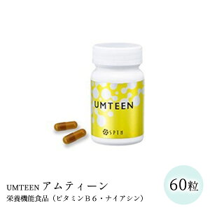 �A���e�B�[�� 60�����h�{�@�\�H�i�i�r�^�~��B6�E�i�C�A�V���j��