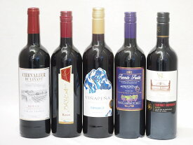 4セット セレクション 赤ワイン 5本×4セット ( スペインワイン 1本 フランスワイン 1本 イタリアワイン 1本 チリワイン 2本)計750ml×20本