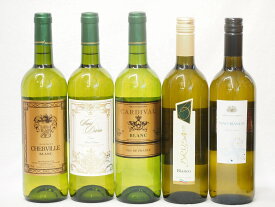 セレクションセレクト 白ワイン 5本セット ( フランスワイン 3本 イタリアワイン 2本)計750ml×5本