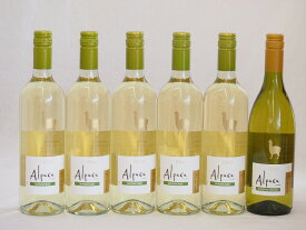 チリ産ワインアルパカ6本セット(白シャルドネ・セミヨン(辛口) 白ソーヴィニヨン・ブラン(辛口)) 750ml×6本
