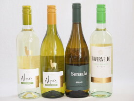 チリ産アルパカとイタリア白ワイン4本セット(白シャルドネ・セミヨン 白ソーヴィニヨン・ブラン 白タヴェルネッロ ビアンコ 白センサーレ グリッロ) 750ml×4本