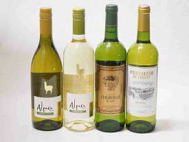 チリ産アルパカとフランス白ワイン4本セット(白シャルドネ・セミヨン 白ソーヴィニヨン・ブラン 白シュバリエ・デュ・ルヴァン ブラン 白シェルヴィーユ) 750ml×4本