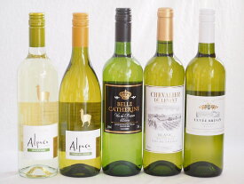 チリ産アルパカとフランス白ワイン5本セット(白シャルドネ・セミヨン 白ソーヴィニヨン・ブラン 白シュバリエ・デュ・ルヴァン ブラン 白ベル キャサリン ブラン 白キャベェブレヴァン ブラン) 750ml×5本