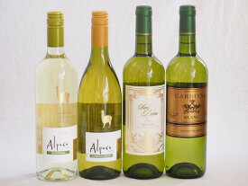 チリ産アルパカとフランス白ワイン4本セット(白シャルドネ・セミヨン 白ソーヴィニヨン・ブラン 白サンディヴァン ブラン 白カルディヴァル ビアンコ) 750ml×4本