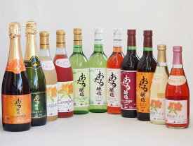 おたるスペシャル11本セット(おたる醸造 スパークリング赤 キャンベルアーリ 甘口 おたる醸造 ナイアガラスパークリング白やや甘口 おたる醸造 生葡萄酒 山ぶどう やや甘口 おたる醸造 生葡萄酒 赤 甘口 おたる醸造 デラウェア 生葡萄酒 やや甘口 北海