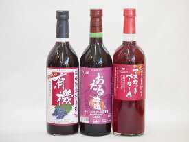 飲み比べおすすめ赤ワイン3本セット(北海道赤ワイン キャンベルアーリ辛口 山梨県マスカットベーリーA赤ワイン 有機赤ワイン コンコードあずさ 中口) 720ml×3本