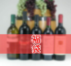 【第22弾】 高品質ワインお楽しみ福袋セット750ml×5本セット（赤4白1）