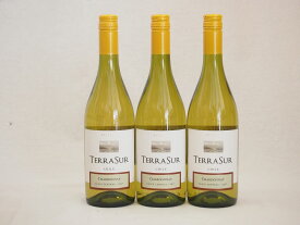 10本セット　テラ・スル（シャルドネ） チリセントラルバレー 白ワイン 750ml×10本