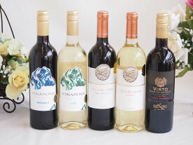 ワインセット セレクションスペイン+イタリアワイン5本セット（赤3本、白2本）で750ml×5本