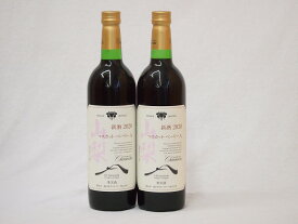 山梨県産マスカット・ベーリー2本セットA赤ワイン(中重口)750ml×2