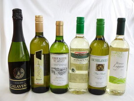 高品質ワインセット（白5本）+スパークリングワイン（チリ泡・白）豪華セット