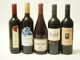 セレクション 赤ワイン 5本セット ( イタリアワイン 2本 チリワイン 1本 ドイツワイン 1本 スペインワイン 1本)計750ml×5本