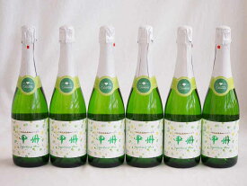 6本セット 山梨県産勝沼仕込みの甲州スパークリング白ワイン 720ml×6本