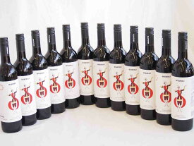 12本セットテリアニ・ヴァレー ムタヴルリ アラザニヴァレー 赤ワイン(ジョージア)750ml×12本