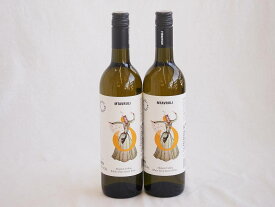 2本セット テリアニ・ヴァレー ムタヴルリ アラザニヴァレー 白ワイン 中甘口(ジョージア)750ml×2本
