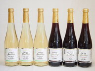 ノンアルコール6本セット(ヴァンフリースパークリング赤 ヴァンフリースパークリング白) 500ml×6本