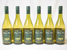 6本セットチリ産白ワイン フエンテ・フルータ　カベルネ　 白(チリ)750ml×6本