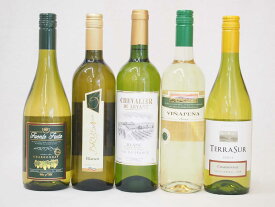 セレクション 白ワイン 5本セット( スペインワイン 1本 フランスワイン 1本 イタリアワイン 1本 チリワイン 2本)計750ml×5本