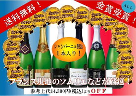 新作記念ワインセット ALL金賞受賞 フランススパークリングワイン6本セット 計750ml×6本