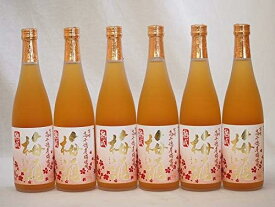 【最大2000円オフクーポン11日1:59迄】高千穂酒造 宮崎高千穂産梅使用 本格焼酎仕込み梅酒 720ml
