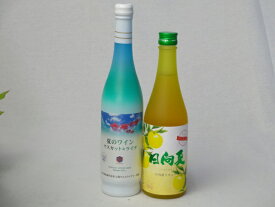 【最大2000円オフクーポン11日1:59迄】セール!フルーツなお酒福袋セット（日向夏リキュール、夏ワインマスカットとライチ）500ml×2本