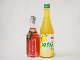 【最大2000円オフクーポン11日1:59迄】セール!フルーツなお酒福袋セット（日向夏リキュール500ml、野いちごの恋300ml）×2本