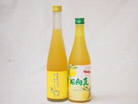 【最大2000円オフクーポン11日1:59迄】セール!フルーツなお酒福袋セット（日向夏リキュール、ゆずはじめました柚子梅酒）500ml×2本