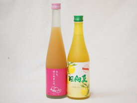 【最大2000円オフクーポン11日1:59迄】セール!フルーツなお酒福袋セット（日向夏リキュール、ももはじめました桃梅酒）500ml×2本
